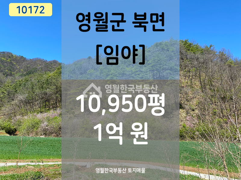 강원 영월군 북면 공기리 영월 북면 임야, 도로 접, 일부 보전관리(30%내외) 임업용 중형 임야 매매 매물번호 10172 사진 1