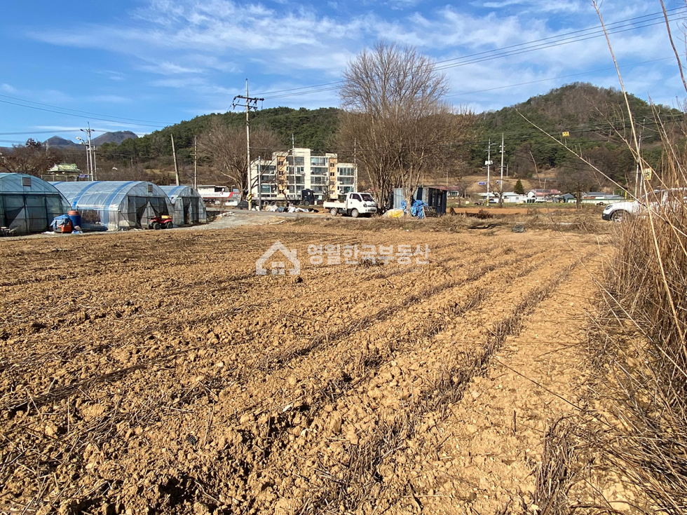 강원 영월군 한반도면 신천리 [급]영월 한반도면 중소형 토지, 면사무소소재지 생활 여건 우수, 신천초등학교 인접, 계획관리지역 귀촌주택지 추천 매매 매물번호 10276 사진 8