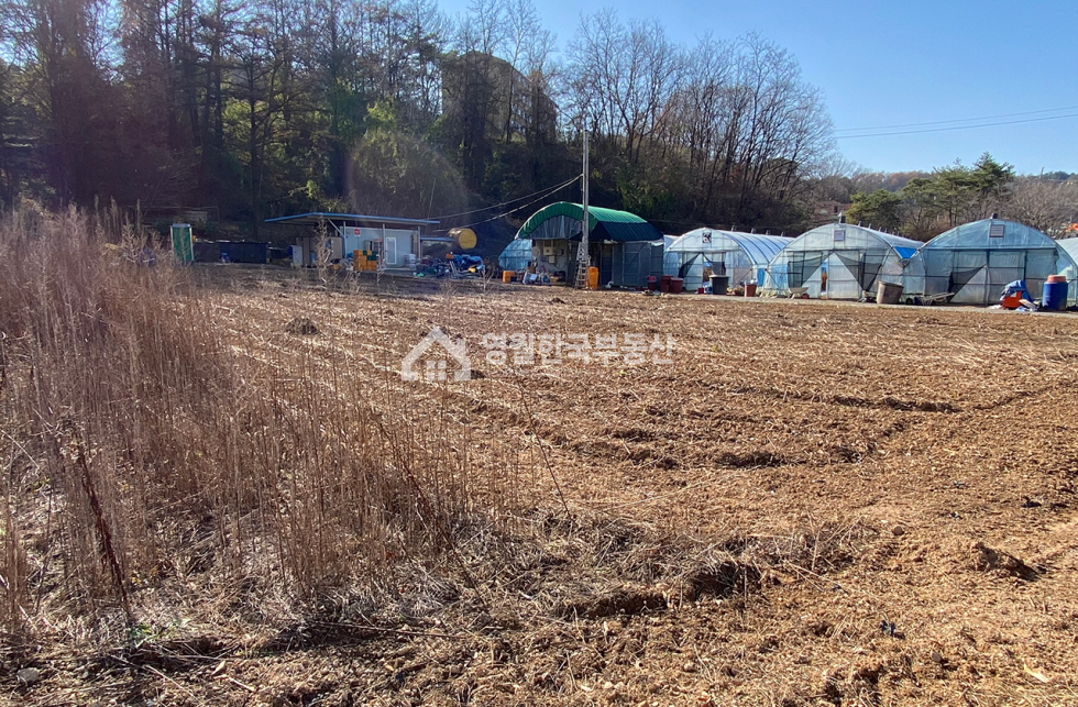 강원 영월군 한반도면 신천리 [급]영월 한반도면 중소형 토지, 면사무소소재지 생활 여건 우수, 신천초등학교 인접, 계획관리지역 귀촌주택지 추천 매매 매물번호 10276 사진 10