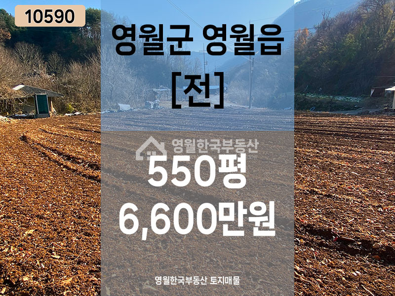 강원 영월군 영월읍 삼옥리 아늑한 골짜기 중소형 토지, 주택지 주말농장 체류형쉼터 농지 추천! 원가 이하 급매물, 전 계획관리 남향, 도로접 전기접 수도가능 배수가능 매매 매물번호 10590 사진 1