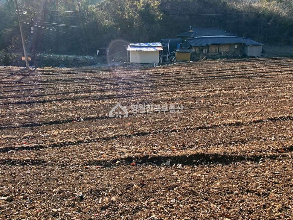 강원 영월군 영월읍 삼옥리 아늑한 골짜기 중소형 토지, 주택지 주말농장 체류형쉼터 농지 추천! 원가 이하 급매물, 전 계획관리 남향, 도로접 전기접 수도가능 배수가능 매매 매물번호 10590 사진 5