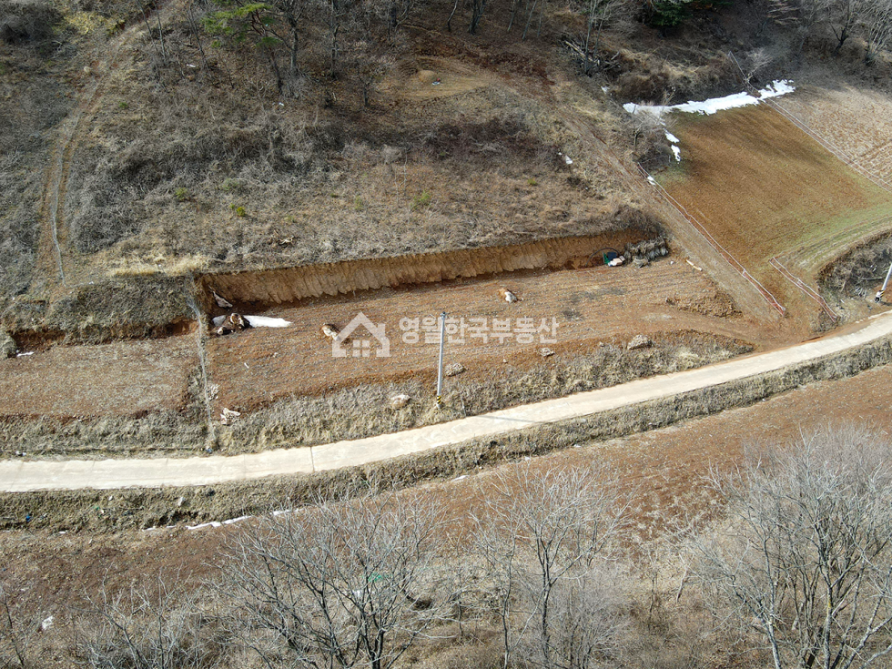항공사진