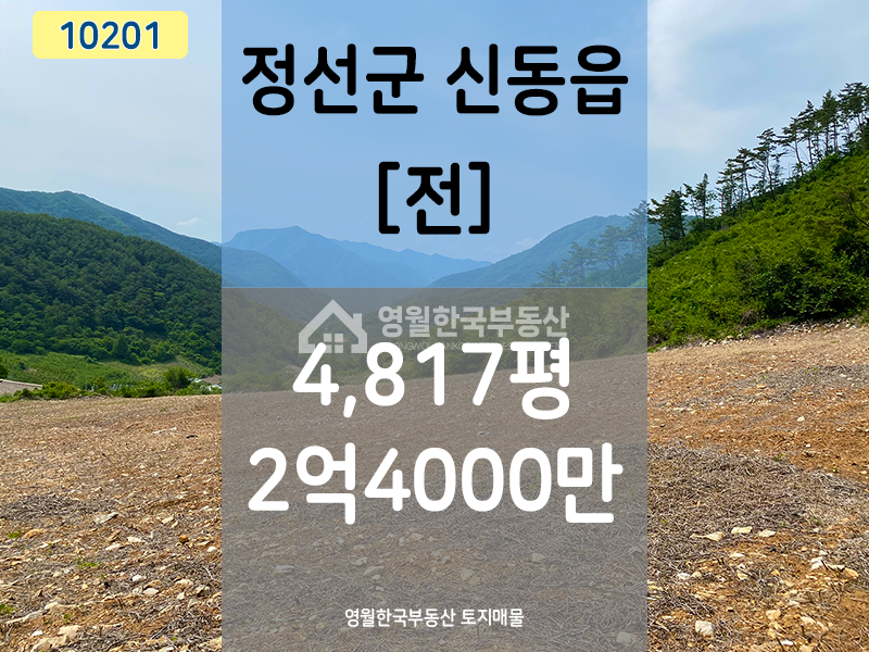 강원 정선군 신동읍 운치리 정선 신동읍 막장땅 평당 5만원 이하 저렴한 귀농용, 투자용 생산관리 토지 매매 매물번호 10201 사진 1