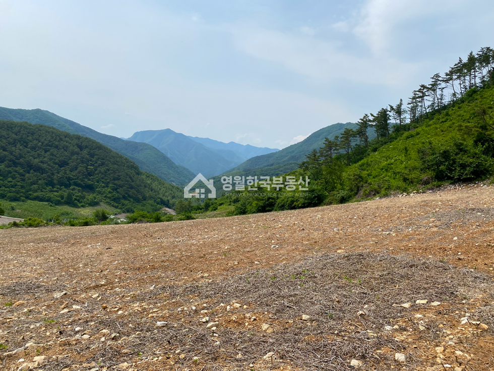 강원 정선군 신동읍 운치리 정선 신동읍 막장땅 평당 5만원 이하 저렴한 귀농용, 투자용 생산관리 토지 매매 매물번호 10201 사진 8