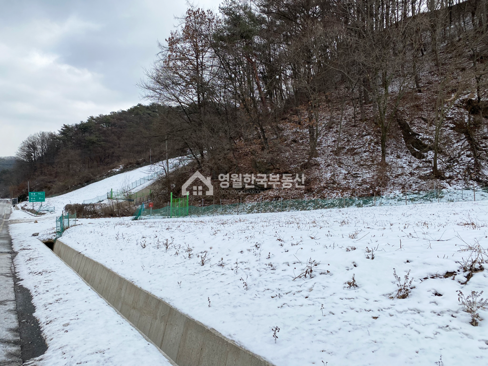 강원 영월군 남면 창원리 영월 저렴한 토지 매매, 계획관리지역 도로변 토지 매매 매물번호 10104 사진 6