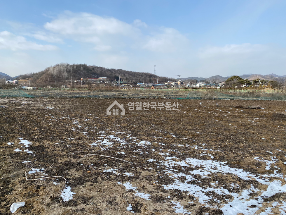 강원 영월군 남면 영월 서강 물가 땅 소형토지매매, 아름다운 전망, 독립적인 토지 매매 매물번호 10105 사진 3