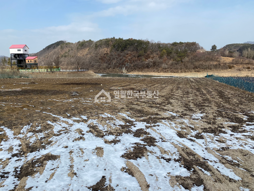 강원 영월군 남면 영월 서강 물가 땅 소형토지매매, 아름다운 전망, 독립적인 토지 매매 매물번호 10105 사진 4