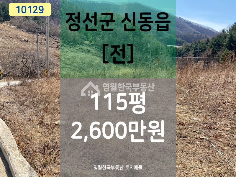 강원 정선군 신동읍 방제리 정선토지 초소형 토지, 농막 놓고 작은 텃밭 가꿀 수 있는 소액토지 매매 매물번호 10129 사진 1