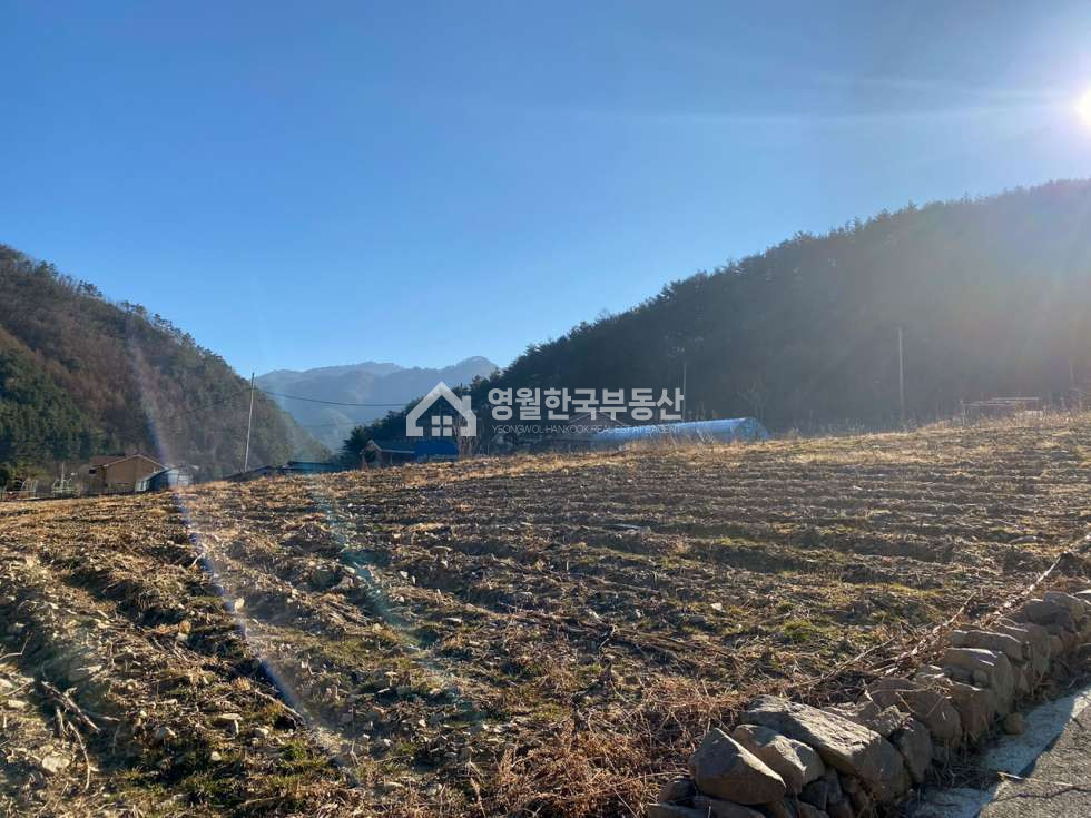 강원 영월군 산솔면 산솔면 청정 지역 힐링 토지매매, 주택지,펜션·민박용지 추천 계획관리 소 토지 매매 매물번호 10107 사진 4