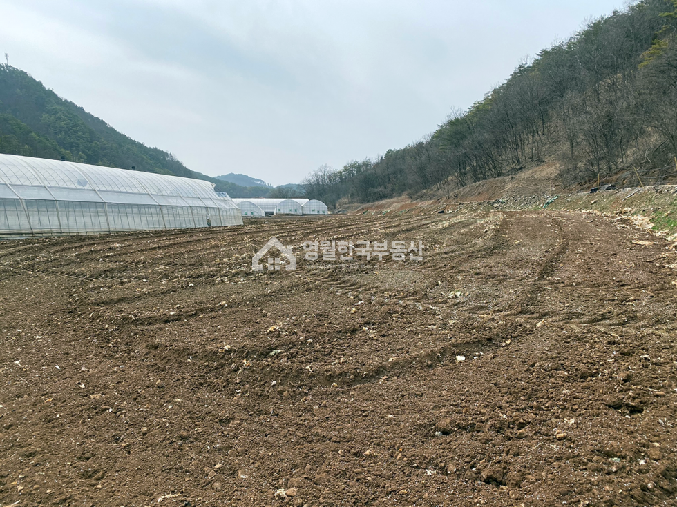 강원 영월군 남면 영월 남면 토지, 귀농 추천 농경지 중대형 계획관리 토지매매 매매 매물번호 10148 사진 3
