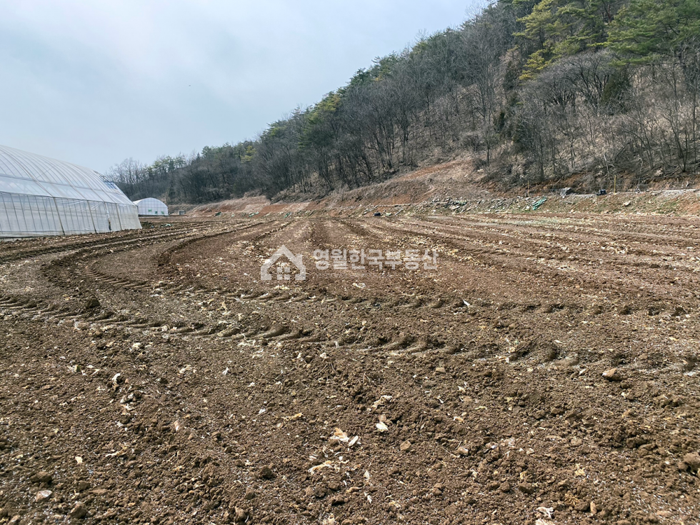 강원 영월군 남면 영월 남면 토지, 귀농 추천 농경지 중대형 계획관리 토지매매 매매 매물번호 10148 사진 4