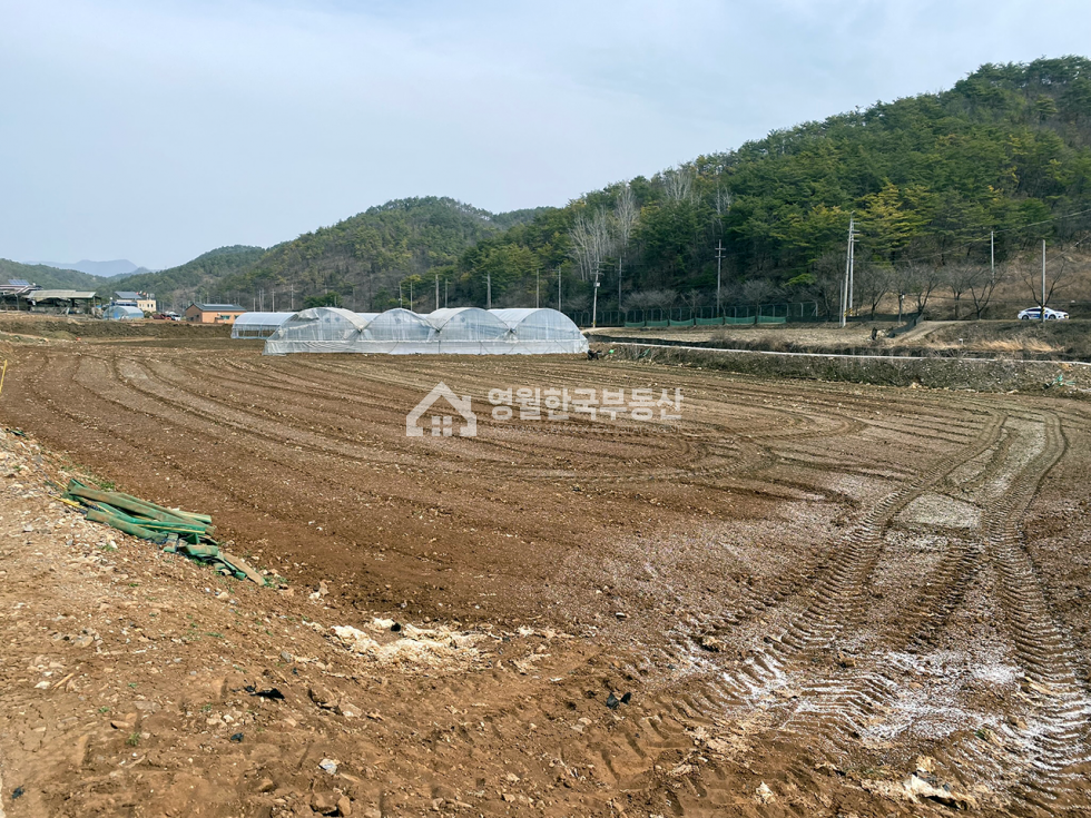 강원 영월군 남면 영월 남면 토지, 귀농 추천 농경지 중대형 계획관리 토지매매 매매 매물번호 10148 사진 6