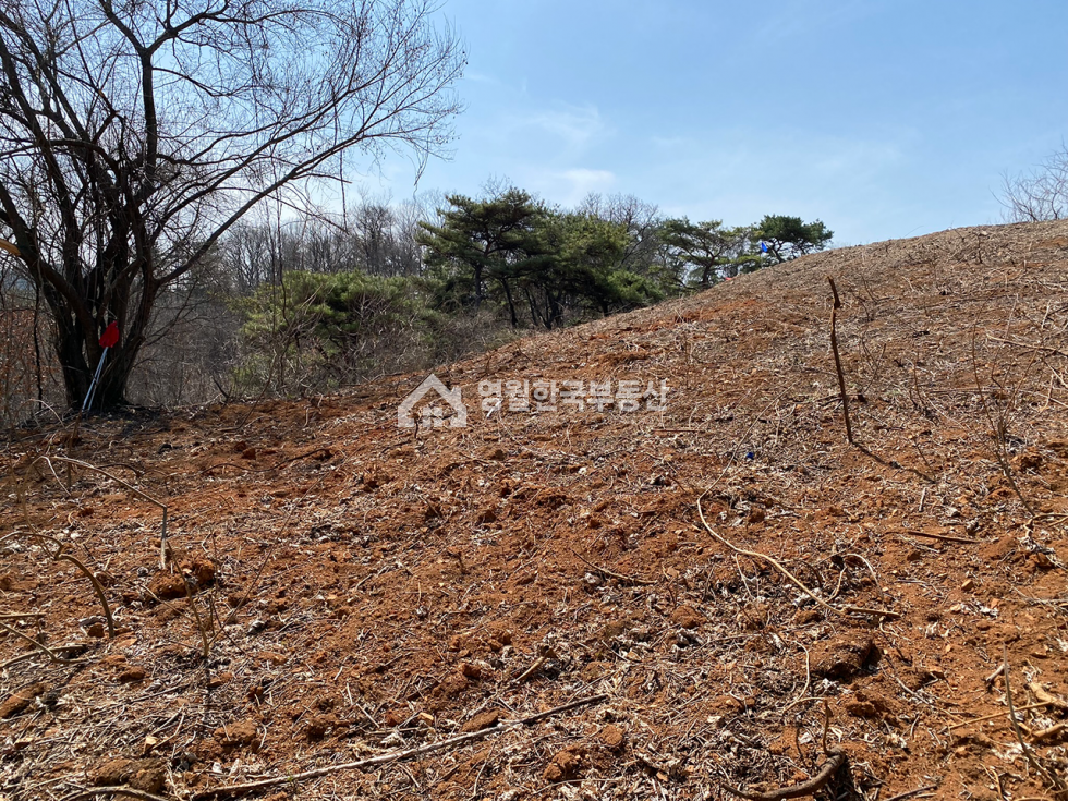 강원 영월군 남면 북쌍리 영월 남면 토지, 서강 뷰 멋지게 펼쳐지는 전원주택지 소형 토지, 보전관리 임 매매 매물번호 10162 사진 8