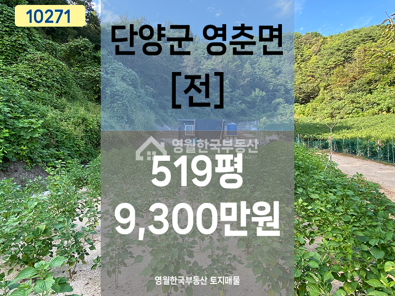 충북 단양군 영춘면 만종리 단양 영춘면 시골 마을 도로 끝 국유림 접한 막장 토지, 귀촌 주말농장 추천 매매 매물번호 10271 사진 1