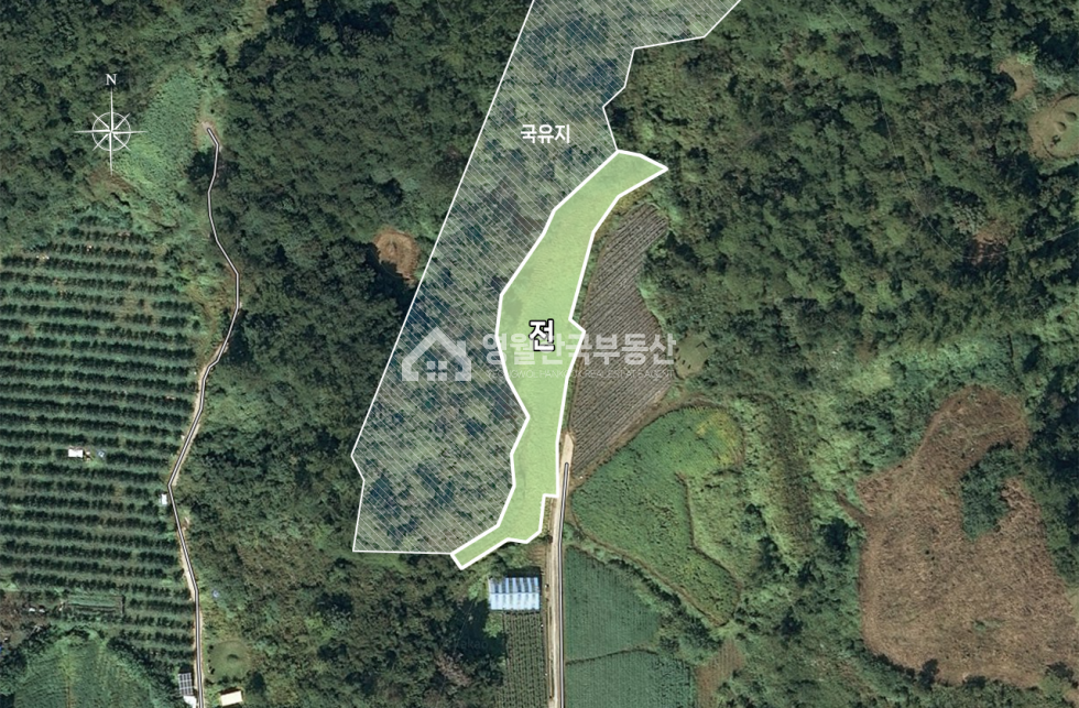 충북 단양군 영춘면 만종리 단양 영춘면 시골 마을 도로 끝 국유림 접한 막장 토지, 귀촌 주말농장 추천 매매 매물번호 10271 사진 2