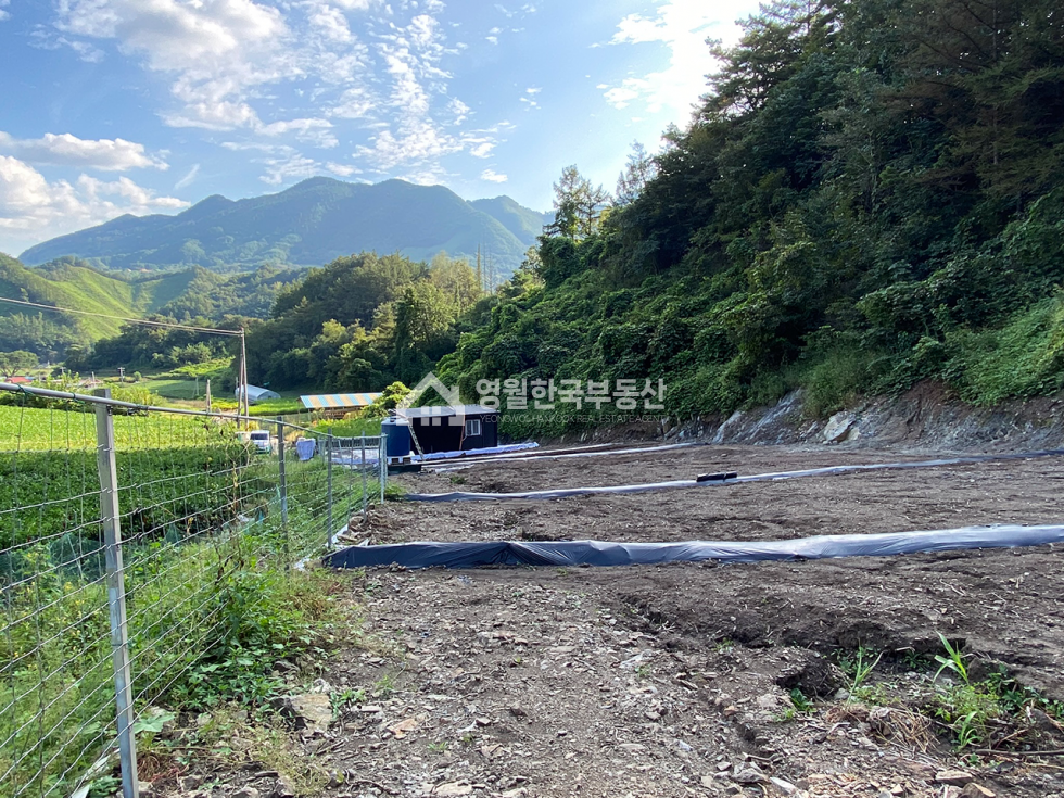 충북 단양군 영춘면 만종리 단양 영춘면 시골 마을 도로 끝 국유림 접한 막장 토지, 귀촌 주말농장 추천 매매 매물번호 10271 사진 11