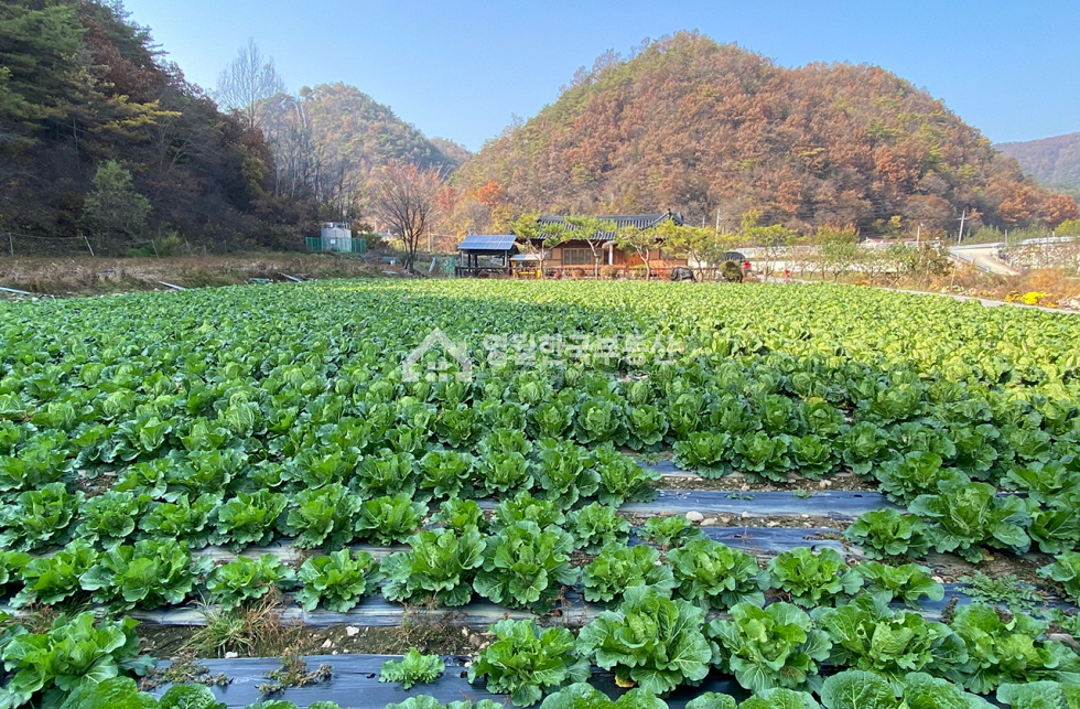 강원 영월군 남면 영월군 남면 토지 반듯한 모양 가격 좋은 소형 토지, 생산관리지역 귀촌 주택지 주말농장 추천 매매 매물번호 10298 사진 4