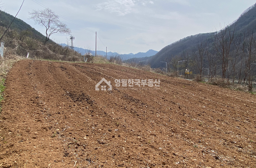 강원 영월군 김삿갓면 진별리 고씨동굴 인근 남한강뷰 명품 전망 전원주택지 추천 보전관리지역 남서향 중형토지매매 매매 매물번호 10202 사진 6