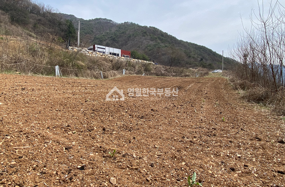 강원 영월군 김삿갓면 진별리 고씨동굴 인근 남한강뷰 명품 전망 전원주택지 추천 보전관리지역 남서향 중형토지매매 매매 매물번호 10202 사진 8