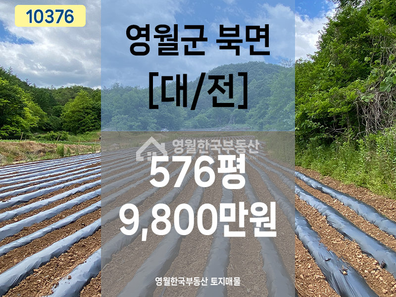강원 영월군 북면 영월 북면 토지매매 접근성 우수, 집터 추천, 일부 분할 매매 가능 매매 매물번호 10376 사진 1