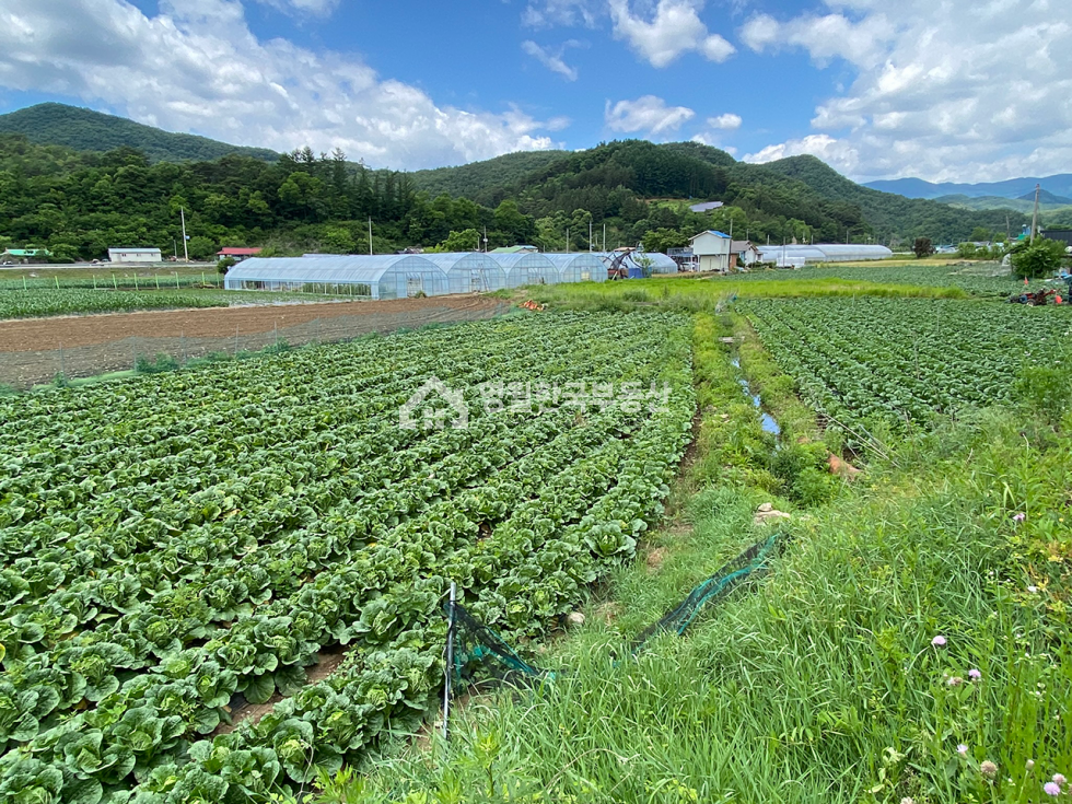 강원 영월군 북면 연덕리 영월 북면 개울가 옆 농림지역 농막터 주말농장 추천 소형 농업용 토지 매매 매물번호 10377 사진 6