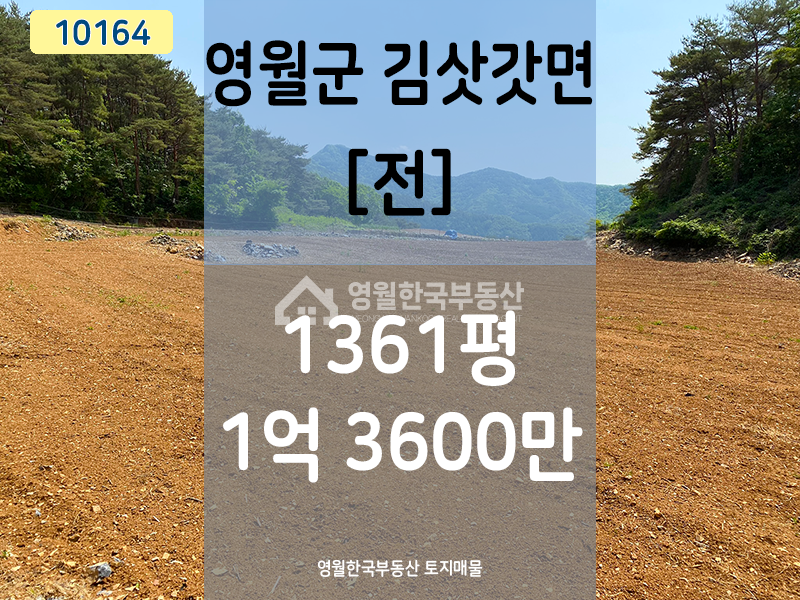 강원 영월군 김삿갓면 각동리 영월 김삿갓면 숲 속 독립적인 중대형 토지, 보전관리지역 귀농귀촌 추천 토지 매매 매물번호 10164 사진 1
