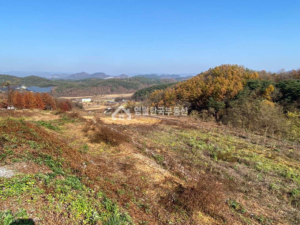 강원 영월군 남면 언덕 위 탁 트인 개방감! 남면 대형 토지 귀농창업용 농지 추천 , 농막 시설 포함 매매 매물번호 10454 사진 4