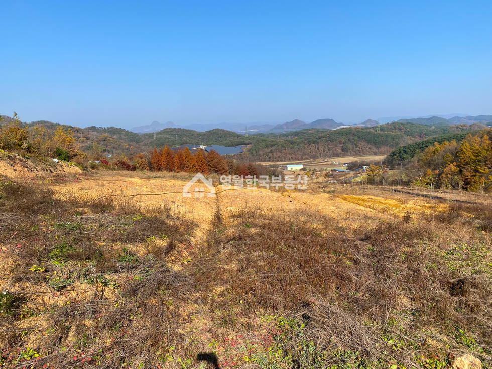 강원 영월군 남면 언덕 위 탁 트인 개방감! 남면 대형 토지 귀농창업용 농지 추천 , 농막 시설 포함 매매 매물번호 10454 사진 6